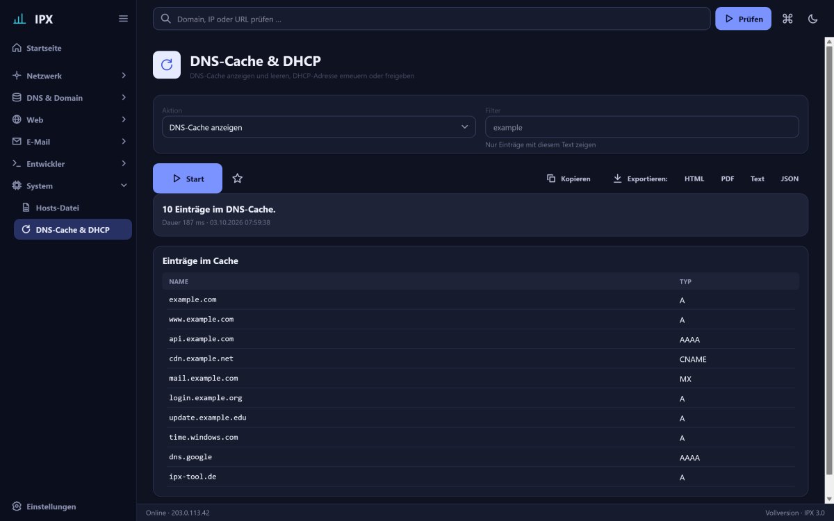 IPX: DNS-Cache & DHCP – DNS-Cache anzeigen und leeren, DHCP-Adresse erneuern oder freigeben.